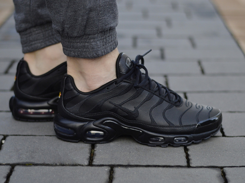 nike max plus tn Nike Air Max Plus TN AJ2029-001